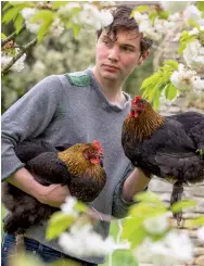  ?? ?? Above: Arthur has owned at least 40 hens. Below: aged nine with one of his first