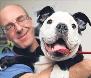  ?? Picture: Mhairi Edwards. ?? Alan Hill with perfectly healthy oldtime bulldog Bella, who is 15 weeks and came from a reputable breeder.