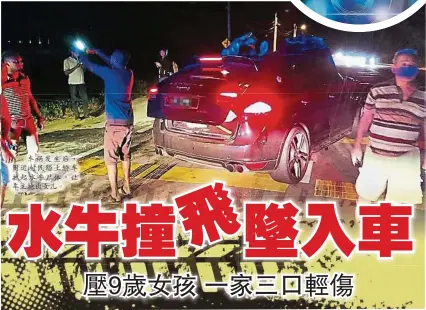  ??  ?? 車禍發生後，附近村民踏上轎車拉起­水牛屍體，讓車主抱出女兒。