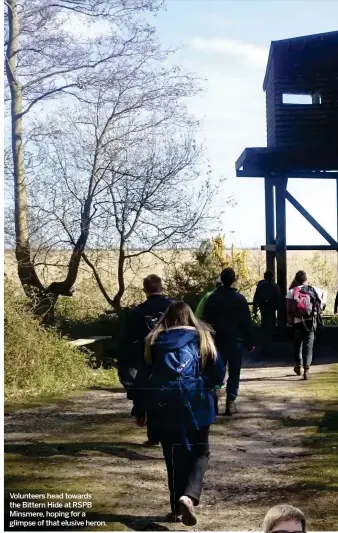  ??  ?? Volunteers head towards the Bittern Hide at RSPB Minsmere, hoping for a glimpse of that elusive heron.