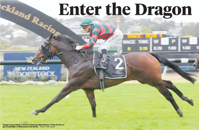  ?? Photo / Trish Dunell ?? Dragon Leap cruises to victory in the Avondale Guineas. Today it’s boy vs girl, Cambridge vs Matamata in the Derby.