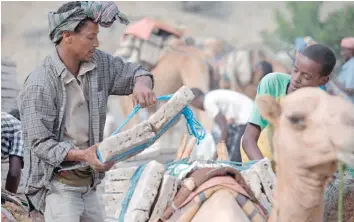  ?? — AFP ?? Salt mining was once so vital to the economy of Ethiopia’s Danakil Depression area where the seven-kilogramme chunks of salt hacked from the ground were used as currency.