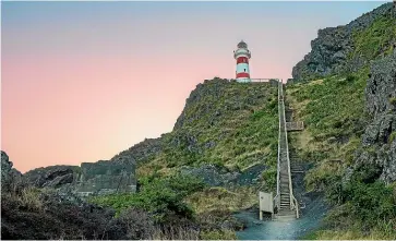  ??  ?? Cape Palliser Lighthouse has a steep set of stairs, but the view is worth the climb.