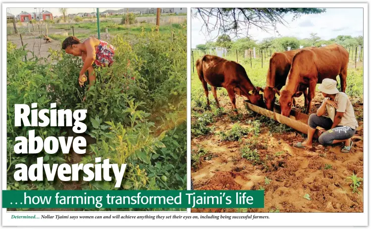  ??  ?? Nollar Tjaimi says women can and will achieve anything they set their eyes on, including being successful farmers.