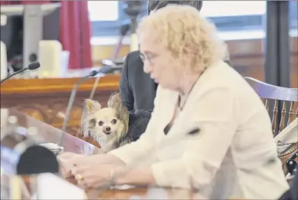  ?? Paul Buckowski / Times Union ?? Julianne White of Glens Falls, a client of the Legal Aid Society of Northeaste­rn New York, testifies at a public hearing at the New York State Court of Appeals as her therapy dog, Fiona, watches on Monday in Albany. Chief Judge Janet Difiore held the annual Statewide Hearing on Civil Legal Services on Monday.