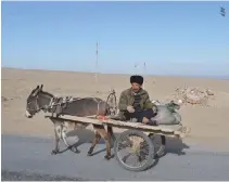  ??  ?? A MAN rides a donkey cart through the desert in Hotan Prefecture, in China’s western Xinjiang region on Feb. 17.