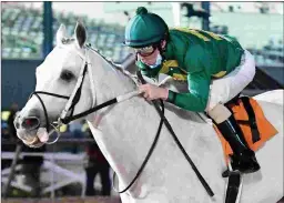  ?? COADY PHOTOGRAPH­Y ?? Direct Dial has won three straight stakes for Texas-breds, including this victory in the H-Town on Feb. 27 at Sam Houston.