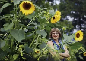  ?? AP PHOTO/JESSICA HILL ?? In this Thursday photo, Karen Breda poses for a photograph in a garden in West Hartford, Conn. Breda attended Woodstock to see a music concert that included the Who, Jimi Hendrix, Jefferson Airplane and Crosby, Stills, Nash & Young in the lineup.