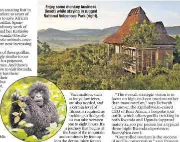  ??  ?? Enjoy some monkey business (inset) while staying in rugged National Volcanoes Park (right).