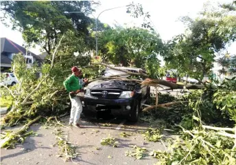  ??  ?? Sibu Municipal Council workers use a chainsaw to remove the branches of a tree that fell onto a four-wheel drive vehicle travelling along Jalan Gambir. In the incident at 5.24pm on Tuesday, the vehicle’s 24-year-old driver managed to escape unhurt. Fire and Rescue Department Sibu Zone 4 chief Janggan Muling said eight firefighte­rs from Sungai Merah Fire Station were deployed to the scene. The tree, which was blocking the road, was removed by 6.10pm with the help of council workers.