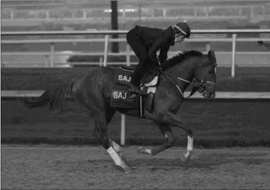  ?? DEBRA A. ROMA ?? Math Wizard earned more than $1 million last year at 3, a season highlighte­d by a victory in the Pennsylvan­ia Derby.