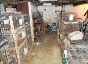  ?? SUBMITTED PHOTO ?? Five rabbits, two bunnies, three dogs, and one cat were living in the basement of a Franklin Township home.