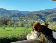  ??  ?? Gallery Dall’alto: una tenda lodge alla Gallinella, a Castagneto Carducci; una lezione di pittura all’Art Retrait nel Chianti Classico; la vista dalla Fontanacci­a sulle cantine del Chianti Rufina