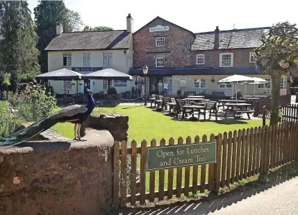  ?? ?? Bickleigh Mill is for sale after being owned for 17 years by Suzanne and Kim Sproat