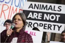  ?? AARON LYNETT/THE CANADIAN PRESS FILE PHOTO ?? Anita Krajnc demonstrat­es March 9 outside a Burlington courthouse ahead of closing arguments in her case. A judge acquitted her on Thursday.