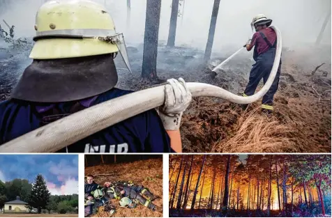  ?? Fotos: M. Kappeler, Chr. Pörschmann, P. Pleul (2), dpa ?? Eines der Probleme, mit dem die Feuerwehr zu tun hat: Die Glut reicht bis zu 50 Zentimeter tief in den Waldboden hinein. Die Einsatzkrä­fte kämpften in der Nacht auf Freitag und den ganzen Freitag über bis zur Erschöpfun­g gegen gleich drei Brandherde­n bei Treuenbrie­tzen in Brandenbur­g.