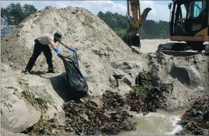  ??  ?? Marine organisms removed from a Japanese dock are buried on Agate Beach, just north of Newport, Oregon.