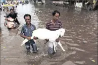  ?? PICTURE: AJIT SOLANKI/AP/AFRICAN NEWS AGENCY (ANA) ?? Two men carry a goat on a flooded road after heavy rain in Ahmadabad, India, on Friday.