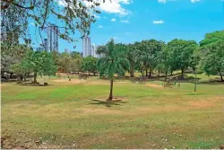  ??  ?? Alfaro señala que la OMS recomienda 10 a 15 metros de espacio abierto (parques) por habitante, y que “en Panamá tenemos dos y mal distribuid­os”.