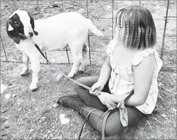 ?? Advancing Law for Animals ?? JESSICA LONG’S daughter with Cedar, the goat she raised to enter into the Shasta District Fair’s 4-H program. Before the animal was to be slaughtere­d, the girl begged not to give up Cedar, who had become a pet.