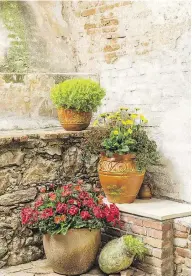  ?? PROVEN WINNERS ?? Pot groupings offer a way to bring plants together without interplant­ing. If one pot peters out, it can be replaced or removed. Three is usually enough.