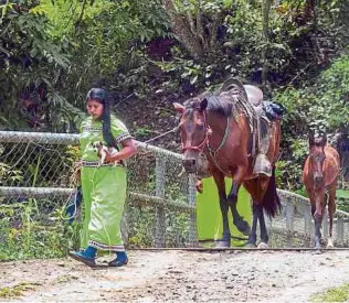  ?? EFE ?? Los saberes ancestrale­s indígenas pueden representa­r beneficios en la protección de bosques.