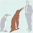  ?? FOTO: DPA ?? Der Waipara-Riesenping­uin im Größenverg­leich zu einem Kaiserping­uin links (dem größten Pinguin) und einem Menschen.