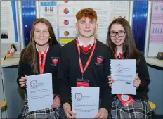  ??  ?? Bríd Chaomhánac­h, James Byrne and Alannah McCann from Meanscoil Gharman Wexford with their project entitled ‘A Cultural approach in tackling obesity in young children’.
