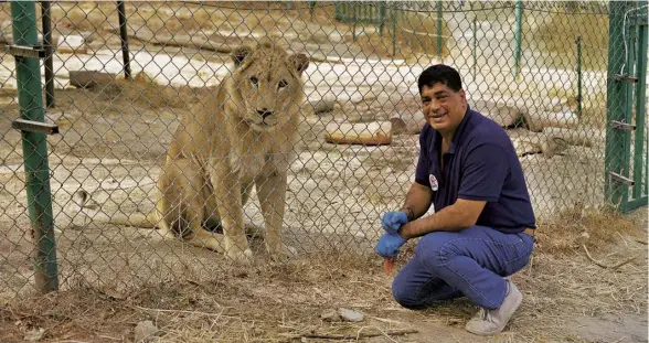  ??  ?? Amir Khalil with Simba the lion at a Four Paws sanctuary in Jordan