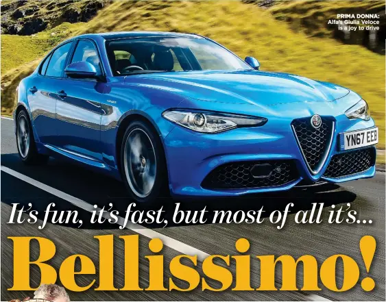  ??  ?? PRIMA DONNA: Alfa’s Giulia Veloce is a joy to drive