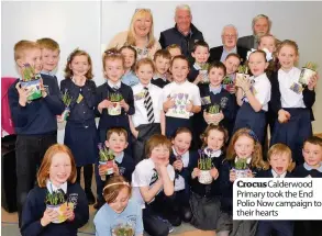  ??  ?? Crocus Calderwood Primary took the End Polio Now campaign to their hearts