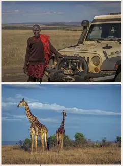  ??  ?? My Maasai guide led the author directly to the stunning wildlife.
Early mornings mean the most wildlife. The author saw hundreds of gira e, elephant, and wildebeest in the hour after dawn.