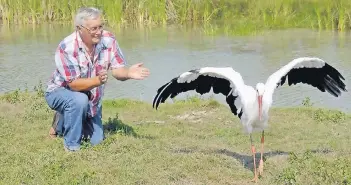  ?? FOTO: DPA ?? Eine anrührende Beziehung: Stjepan Vokic mit seiner Storchenda­me Malena, die nicht mehr fliegen kann.