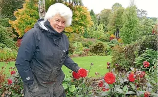  ?? PHOTOS: JOHN HAWKINS/STUFF ?? Muriel Davison has received the Royal New Zealand Institute of Horticultu­re’s highest award.