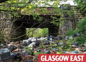  ??  ?? Dumped: Flytipping under a bridge near Alexandra Park