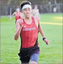  ?? JEFF VORVA / DAILY SOUTHTOWN ?? Jonathan Jacobo motors home and finishes first, pacing Eisenhower to victory over Lemont during a dual meet in Blue Island on Tuesday.