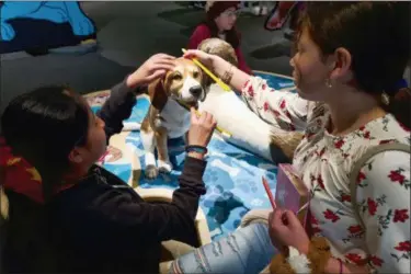  ?? RICHARD VOGEL — THE ASSOCIATED PRESS ?? Students from the Theodore T. Alexander Science Center School practice brushing dog’s teeth at an interactiv­e display during a preview of an exhibition called “Dogs! A Science Tail” at the California Science Center in Los Angeles.