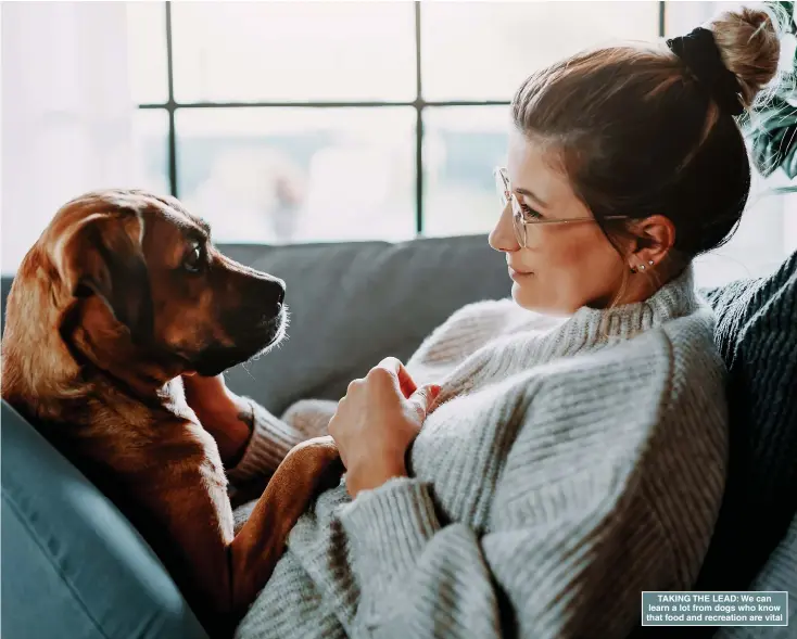  ?? Pictures: GETTY ?? TAKING THE LEAD: We can learn a lot from dogs who know that food and recreation are vital