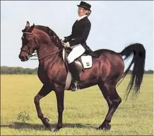  ??  ?? Serr Maariner, foaled 1970, was a successful Grand Prix
dressage competitor, here ridden by owner
trainer Gail Hoff-Carmona,
PhD. “Serr” descended in all four lines
from *Fadl.