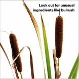  ??  ?? Look out for unusual ingredient­s like bulrush