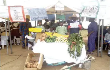  ??  ?? Pupils of Estate Primary School, Ogba, display their garden produce at the Harvest Fair.