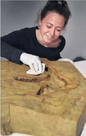  ?? PHOTO: PETER MCINTOSH ?? Prehistori­c preservati­on . . . Otago Museum conservato­r Shannah RhynardGei­l dabs a moa footprint excavated from the Kyeburn River.