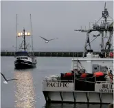  ?? Associated Press ?? ■ A boat with chinook salmon makes its way July 22 to Fisherman’s Wharf to unload its catch in San Francisco.