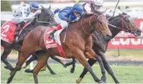  ??  ?? Osborne Bulls, ridden by Craig Williams, races towards the finish line to win the Listed Regal Roller Stakes at Caulfield on Saturday.