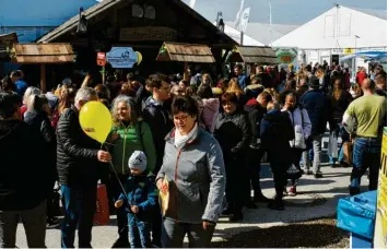  ?? Foto: Karl Aumiller (Archivbild) ?? Ein Treffpunkt für Jung und Alt war die WIR 2020 in Dillingen im März des vergangene­n Jahres, bevor die Pandemie auch den Landkreis erreichte.