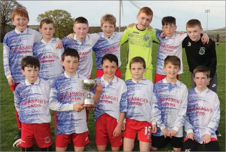  ??  ?? The Bunclody boys after delivering an exceptiona­l performanc­e to capture the Under-12 Division 2 league title.