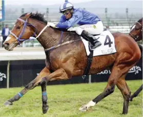  ??  ?? IN FORM. Bull Valley will be looking for his second successive Grade 1 victory when he lines up in the Mercury Sprint over 1200m at Greyville on Saturday.