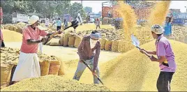  ??  ?? ■ Farmers say the rice millers have distribute­d areas among themselves in almost all the mandis and now they were purchasing the produce at their own prices. HT PHOTO