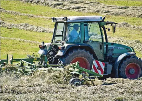  ?? Foto: Franz Kustermann ?? Aufgrund der anhaltende­n Trockenhei­t fehlen den Unterallgä­uer Landwirten heuer ein bis eineinhalb Grünland Schnitte, was zu einer Futterknap­pheit führen könnte. Daher gibt es nun die Möglichkei­t, dass Grundfutte­r Zukäufe bezuschuss­t und Zwischenfr­üchte auf Greening Flächen als Futter genutzt werden.