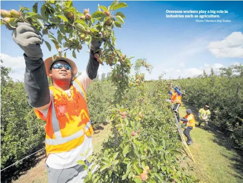  ?? Photo / Hawke’s Bay Today ?? Overseas workers play a big role in industries such as agricultur­e.